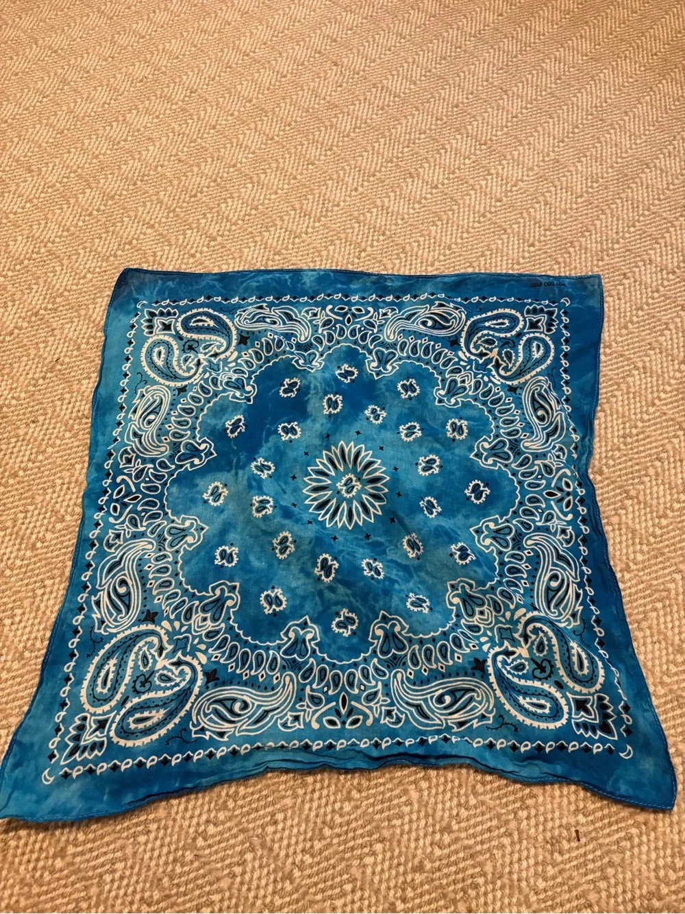 Blue Paisley Bandana Scarf - Women's Accessories